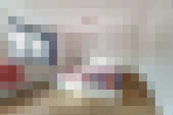 Landmeterslag 69 Gouda thumbnail 19