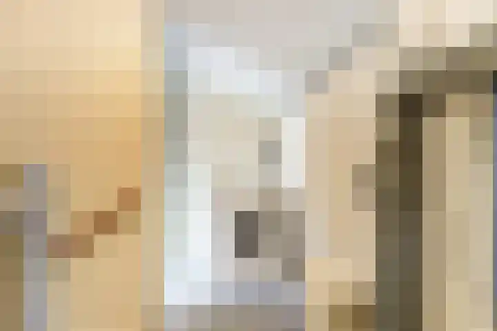 Landmeterslag 69 Gouda thumbnail 21