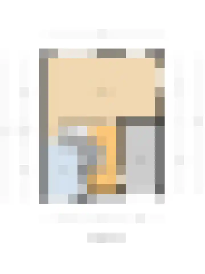 Landmeterslag 69 Gouda thumbnail 34
