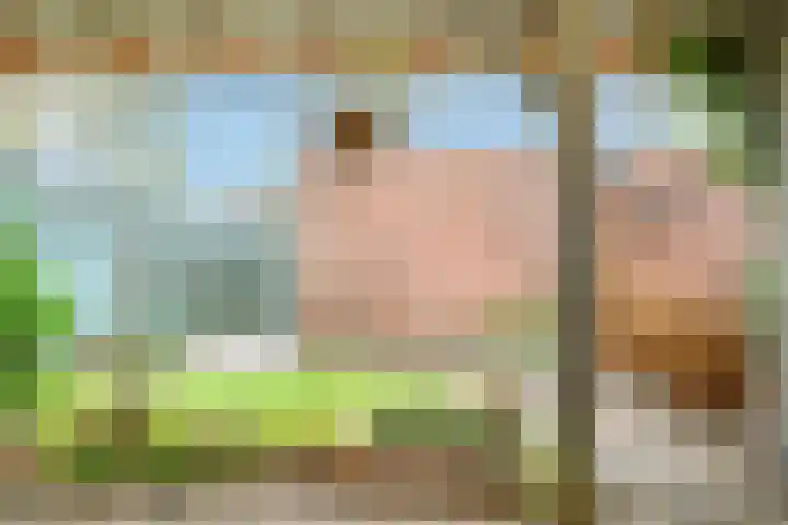 Landmetersveld 20 Apeldoorn thumbnail 14