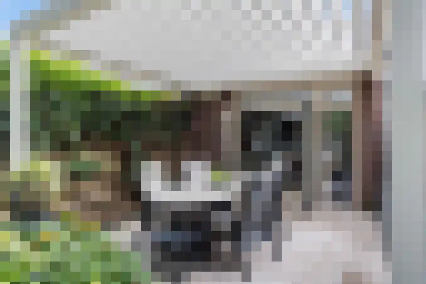 Landmetersveld 509 Apeldoorn thumbnail 19