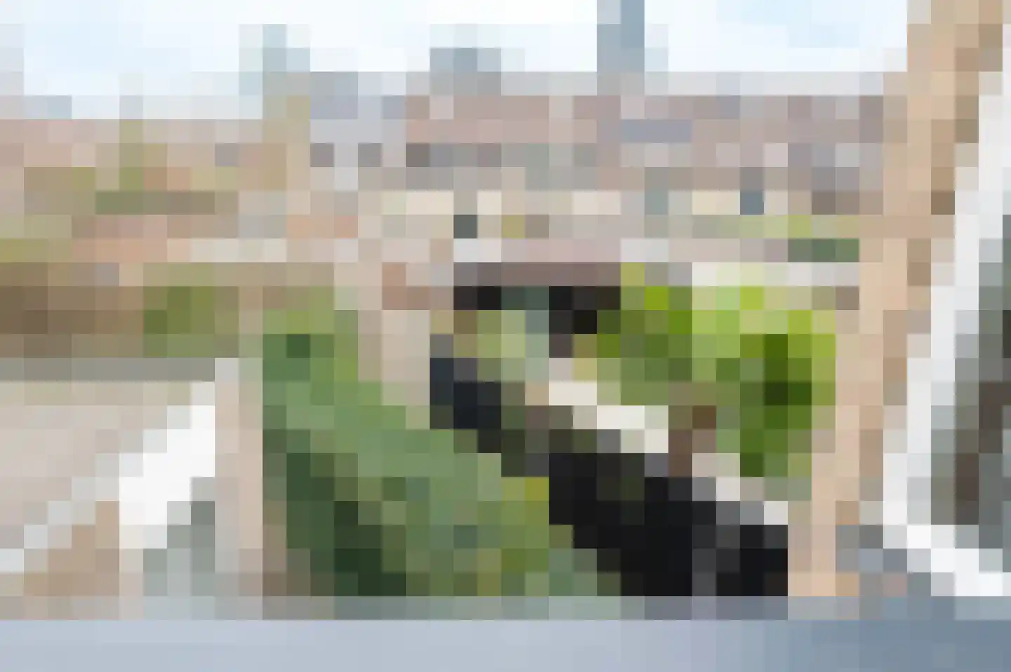 Landmetersveld 608 Apeldoorn thumbnail 29