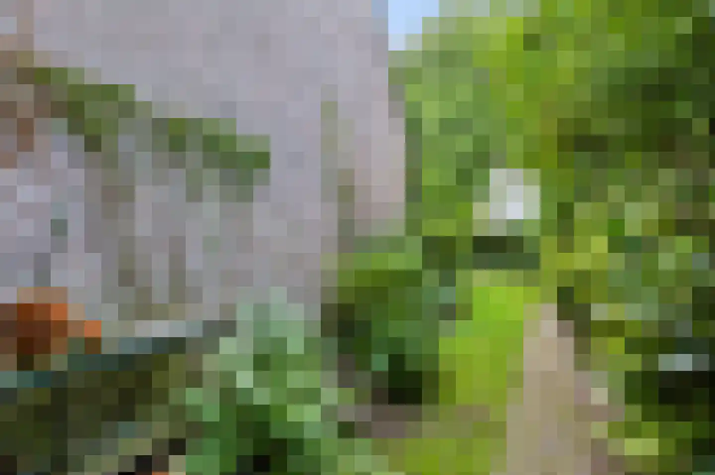Landmetersveld 709 Apeldoorn thumbnail 36