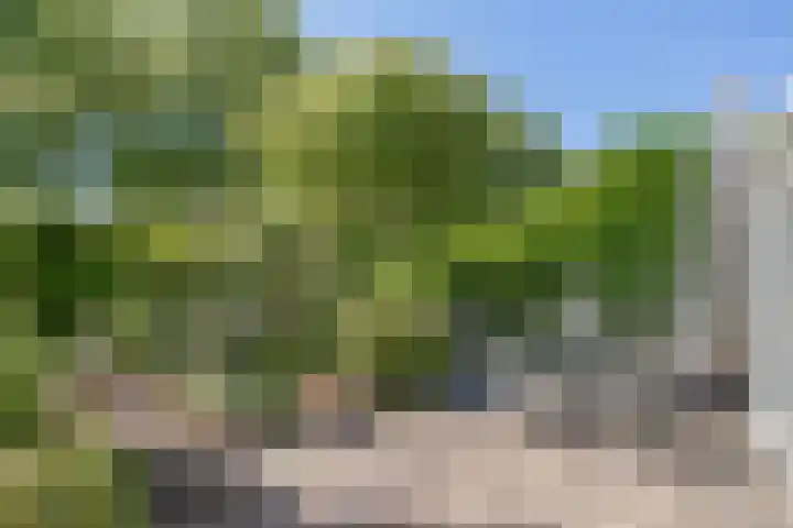Landmetersveld 718 Apeldoorn thumbnail 12