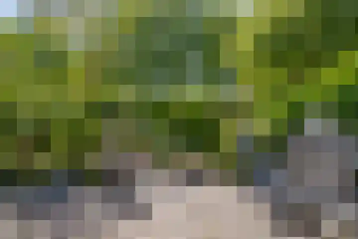 Landmetersveld 718 Apeldoorn thumbnail 13