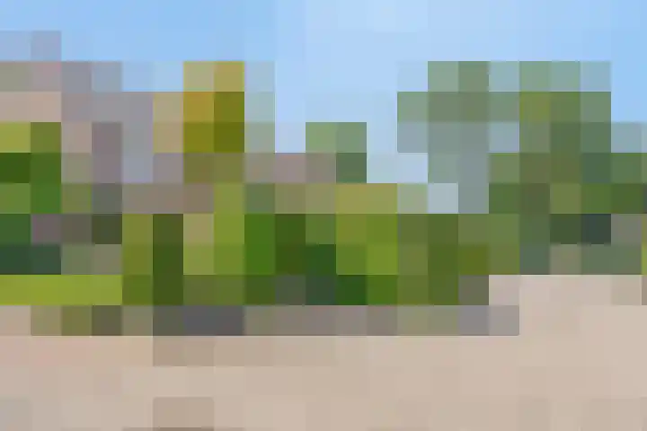 Landmetersveld 718 Apeldoorn thumbnail 22