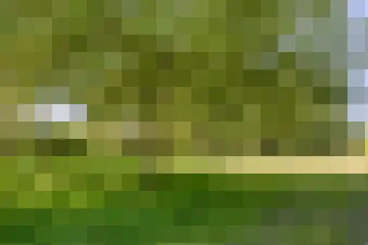 Landmetersveld 718 Apeldoorn thumbnail 23