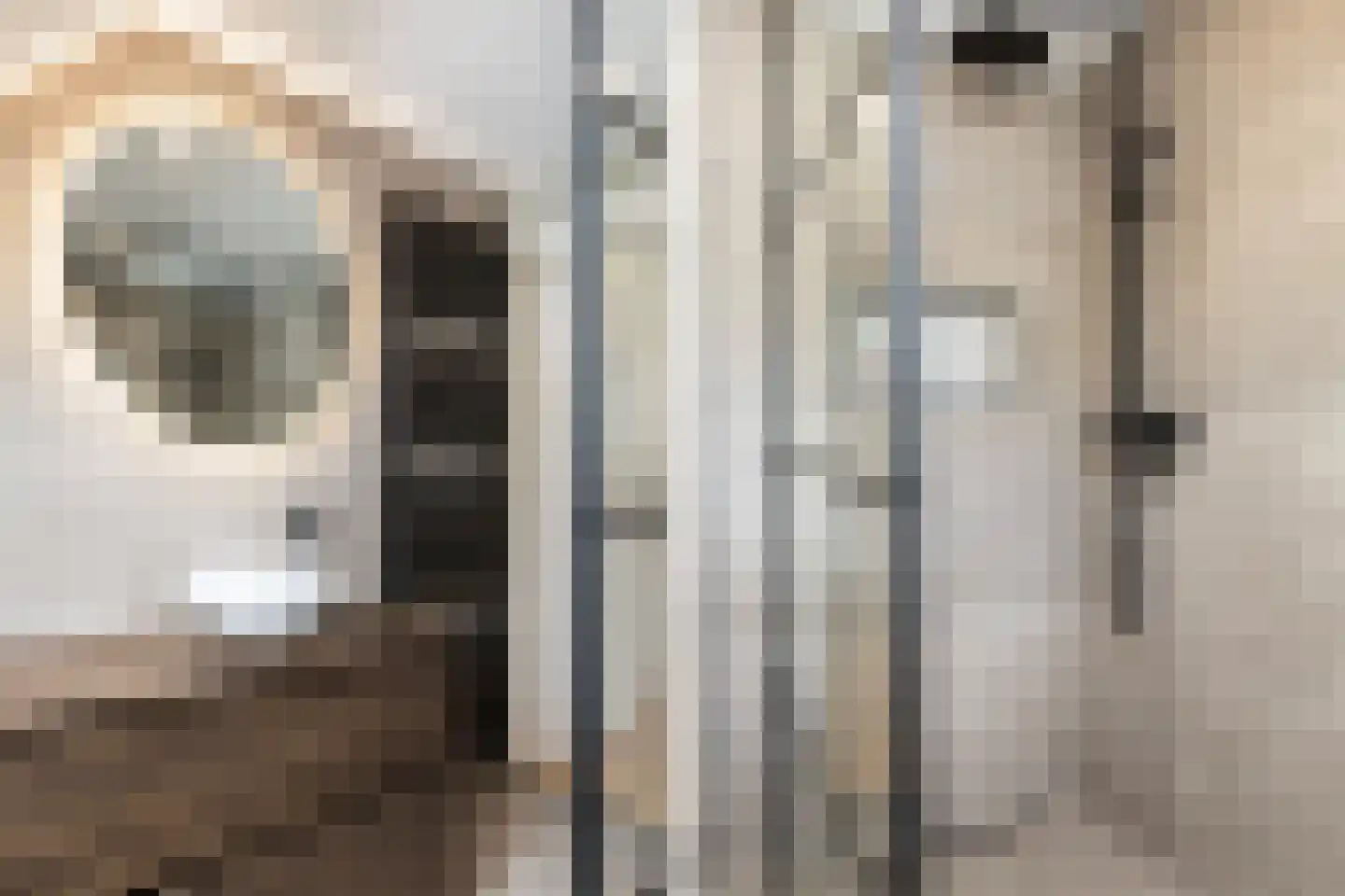 Landmetersveld 810 Apeldoorn thumbnail 33