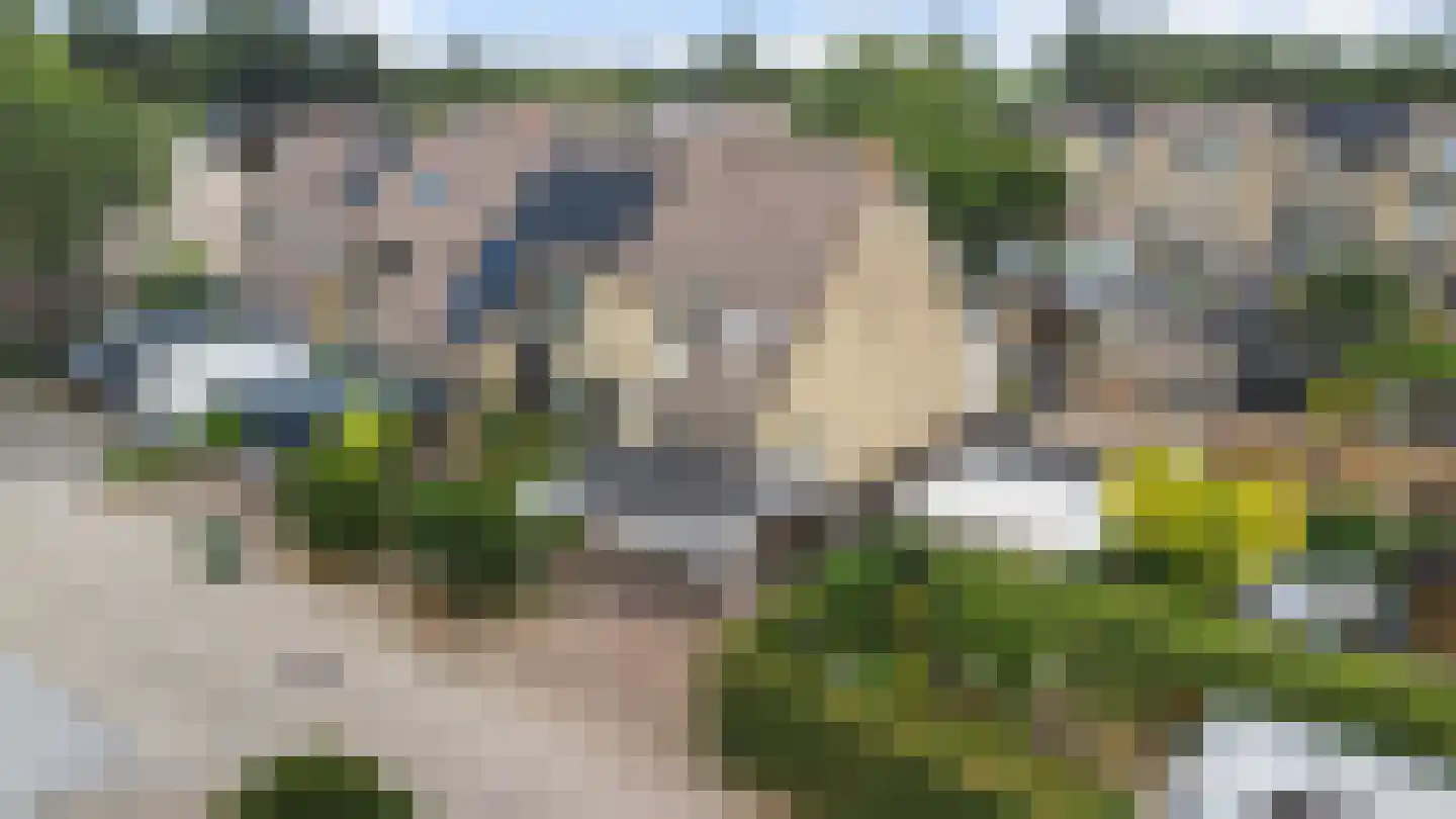 Landmetersveld 810 Apeldoorn thumbnail 41
