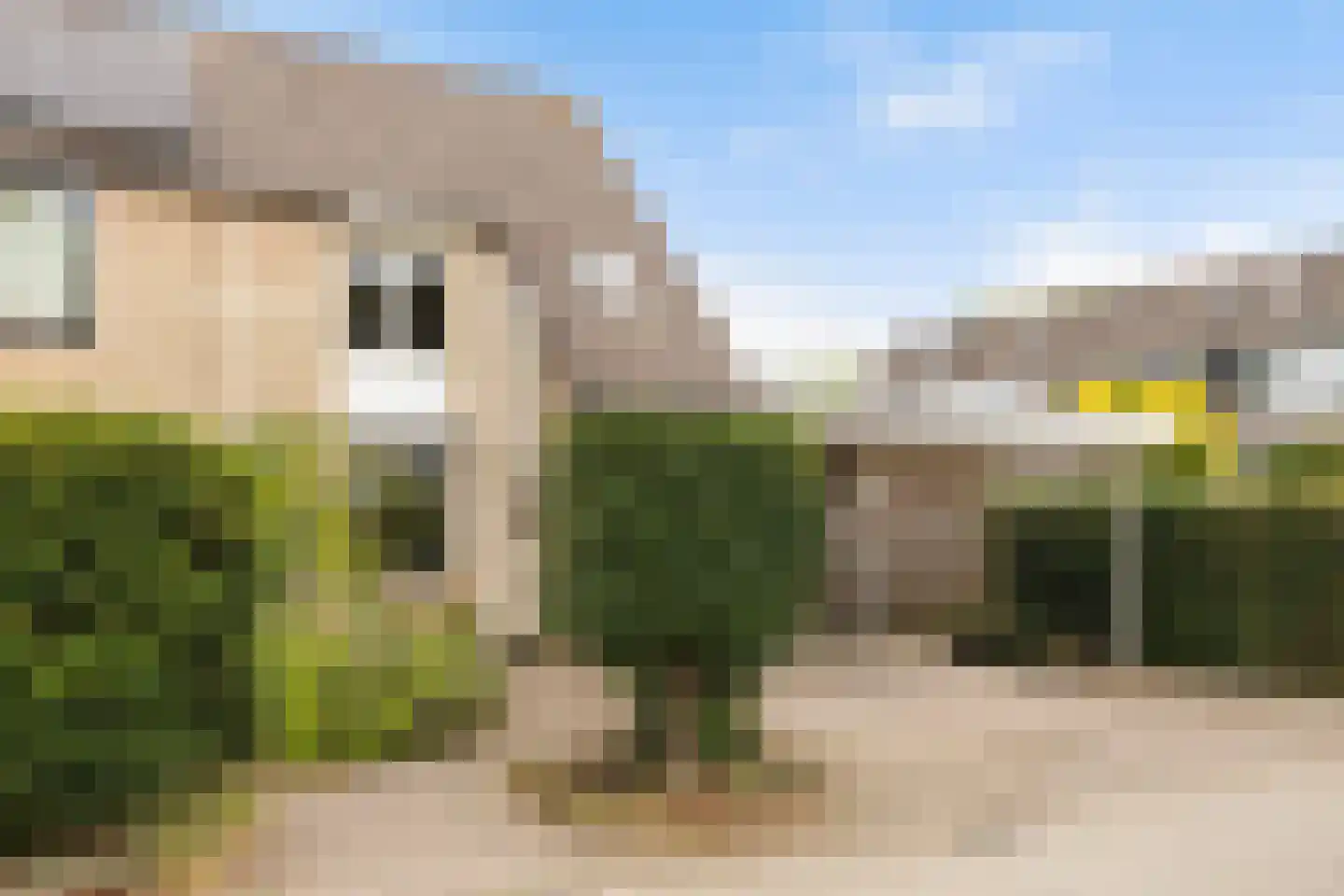 Landmetersveld 810 Apeldoorn thumbnail 47