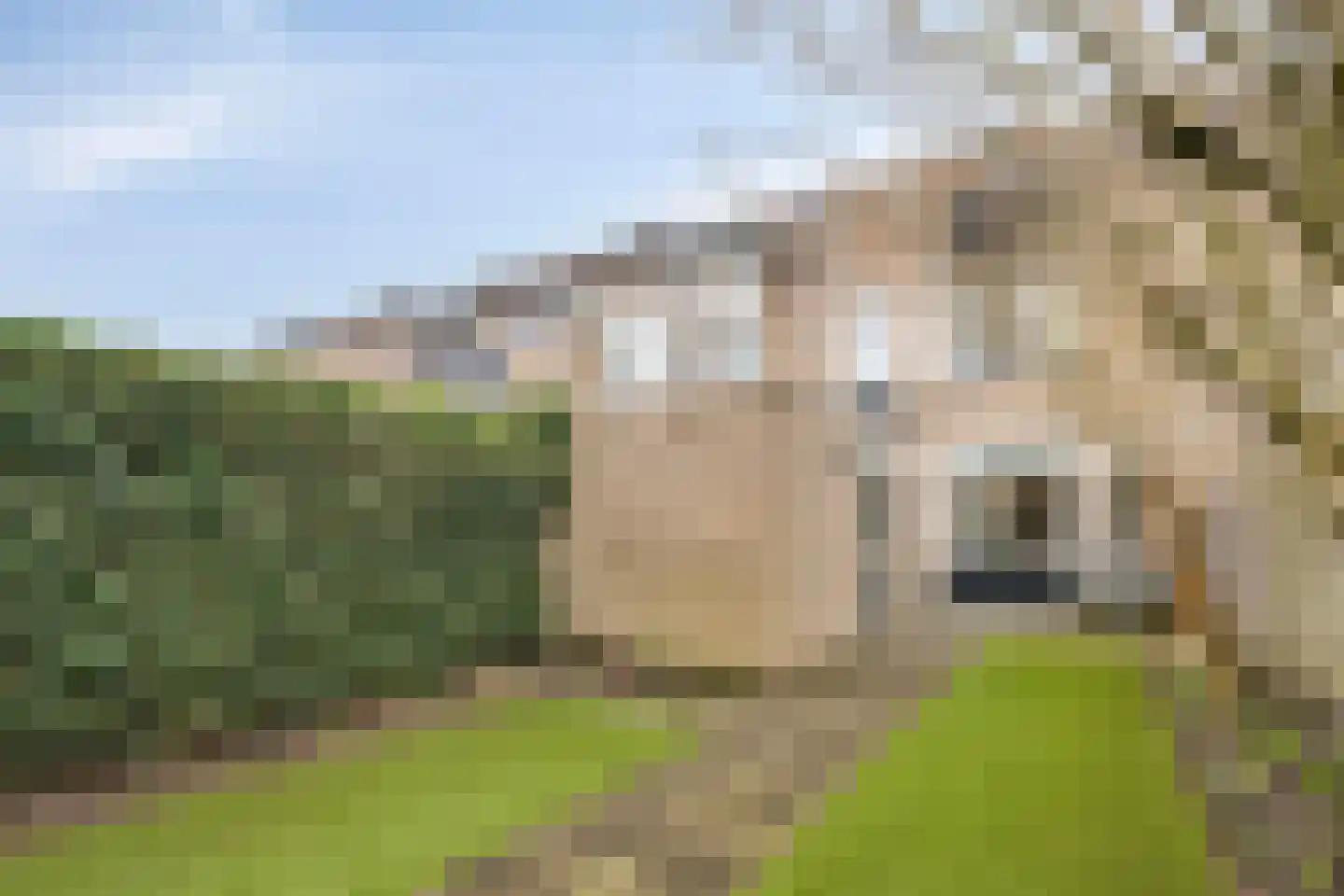 Landmetersveld 902 Apeldoorn thumbnail 25