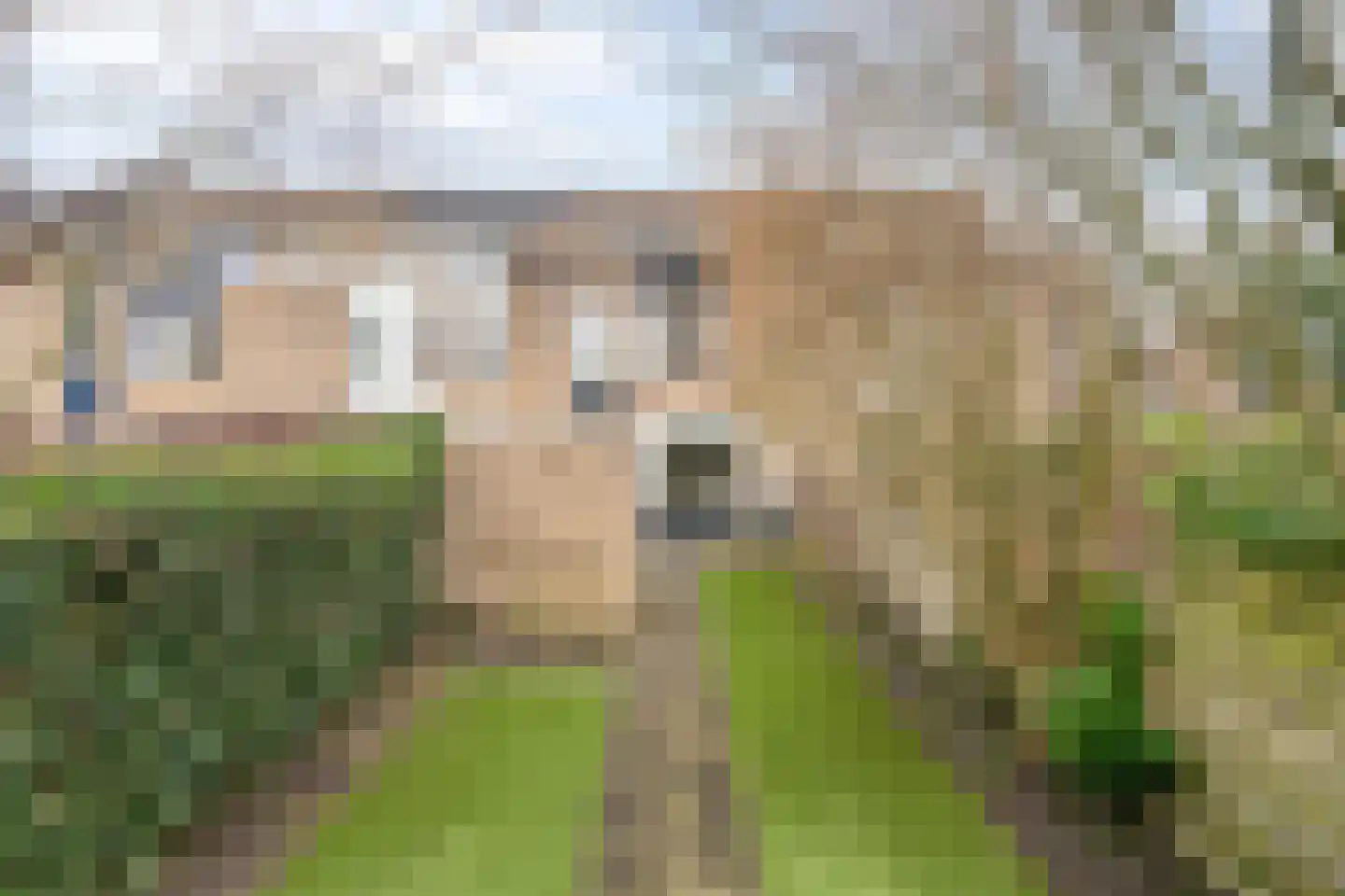 Landmetersveld 902 Apeldoorn thumbnail 28