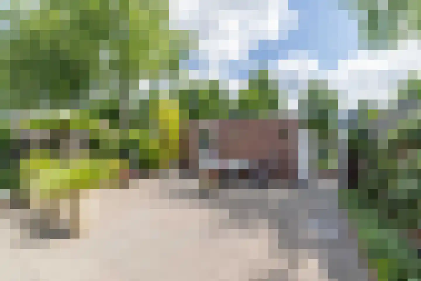 Landmetersveld 928 Apeldoorn thumbnail 13