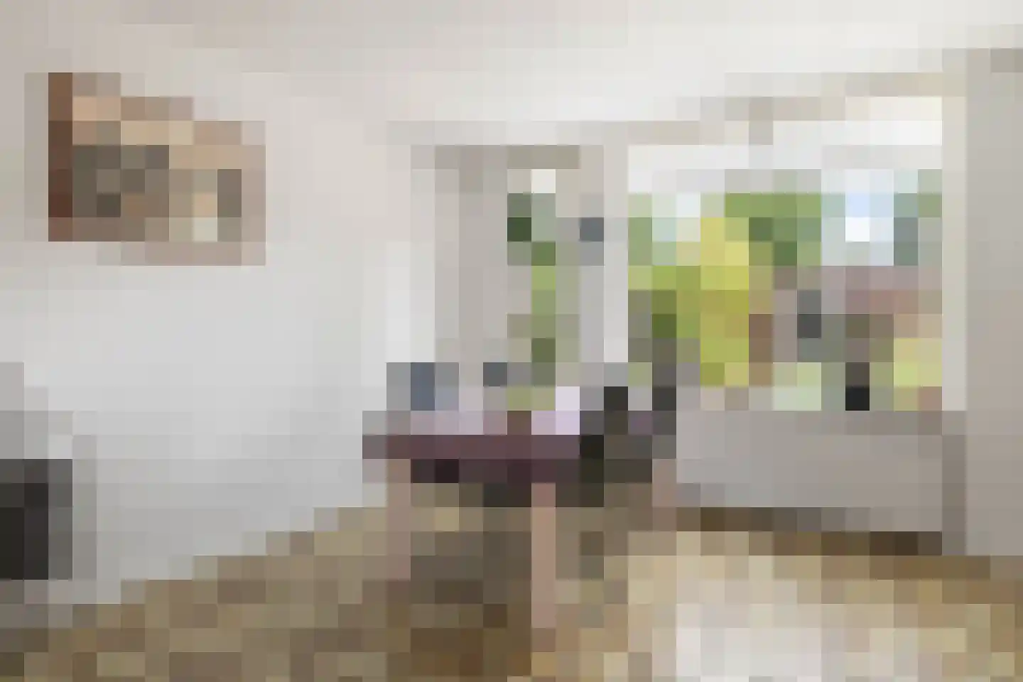 Landmetersveld 928 Apeldoorn thumbnail 9