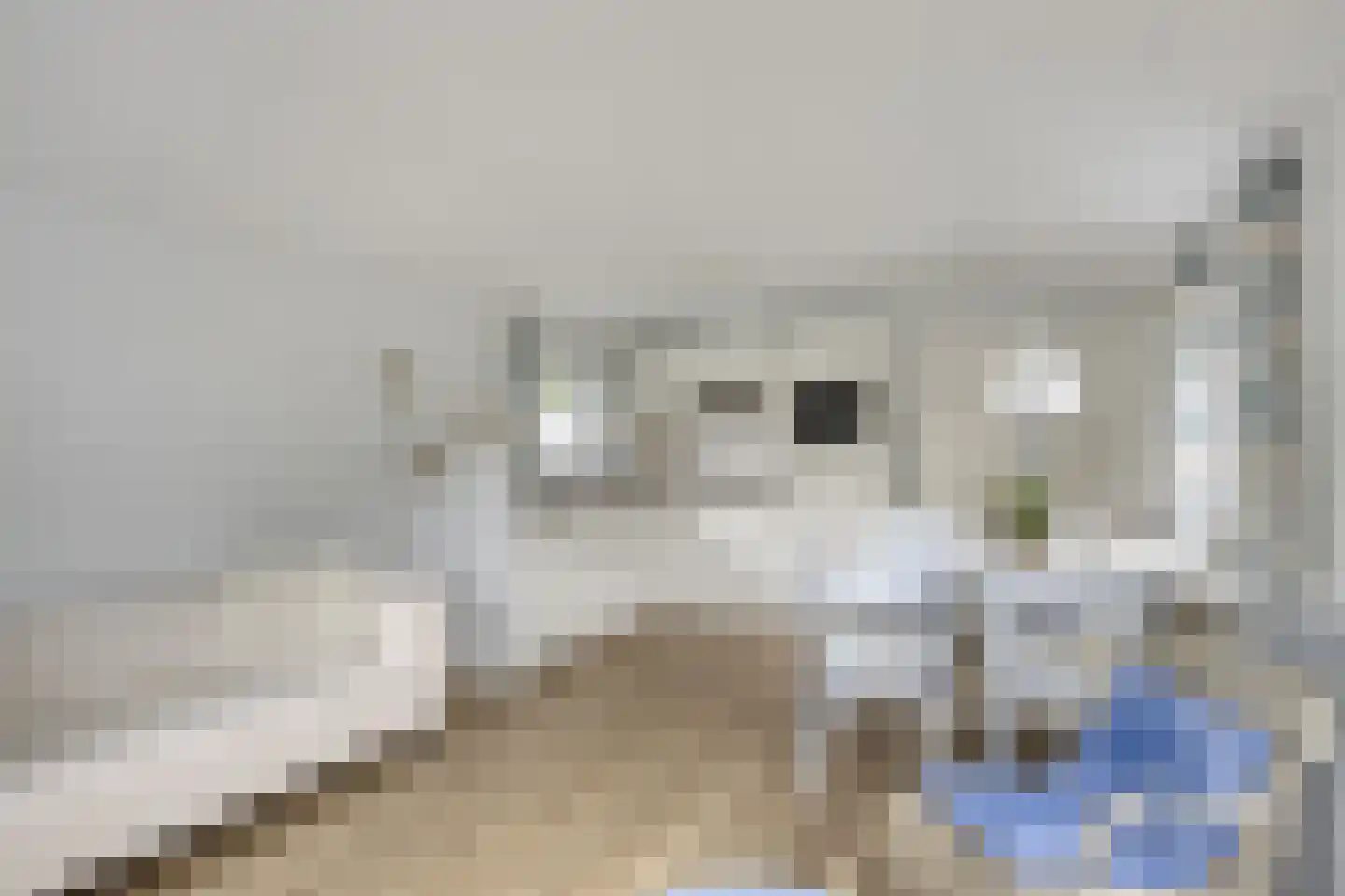 Landmetersweg 1 S 63 Oostkapelle thumbnail 5