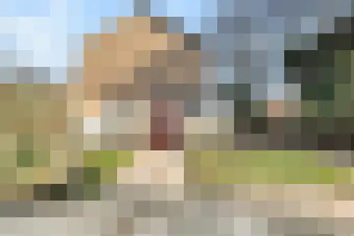 Landmetersweg 11 Den Helder thumbnail 31