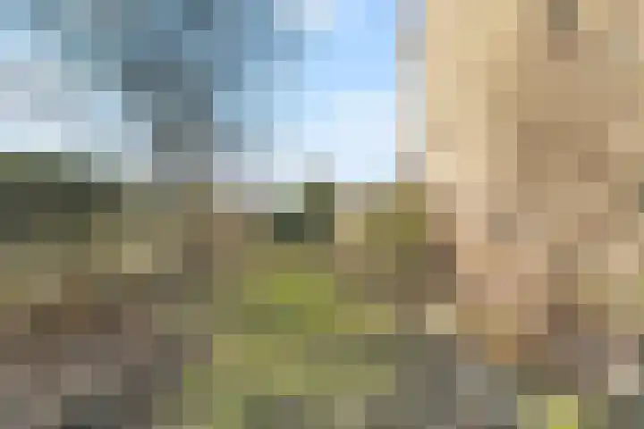 Landmetersweg 11 Den Helder thumbnail 32