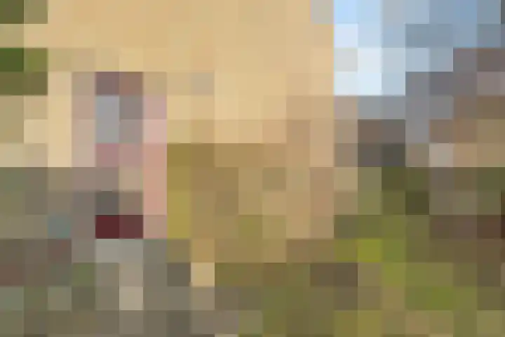 Landmetersweg 11 Den Helder thumbnail 5