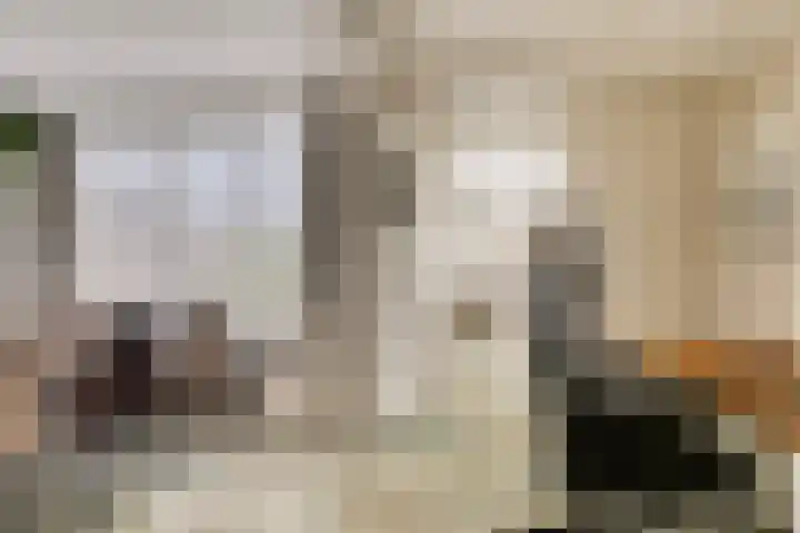 Landonk 14 Raamsdonksveer thumbnail 10