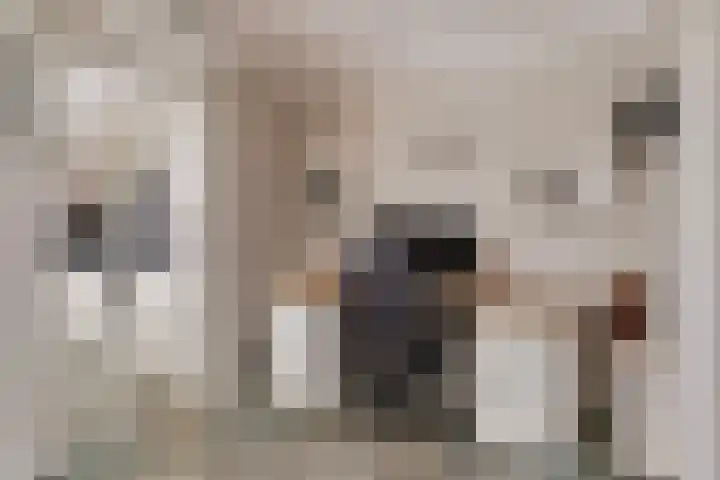 Landonk 14 Raamsdonksveer thumbnail 11