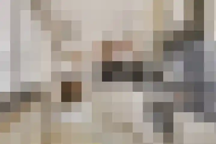 Landonk 14 Raamsdonksveer thumbnail 12