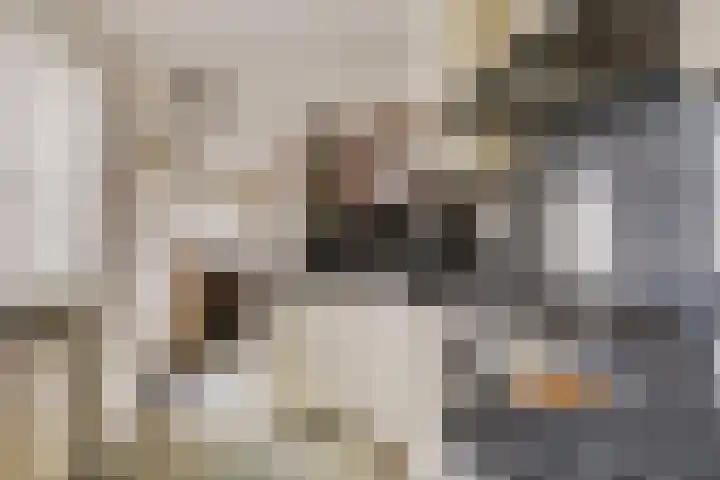 Landonk 14 Raamsdonksveer thumbnail 13