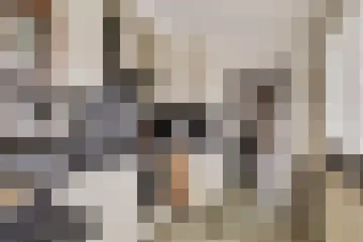 Landonk 14 Raamsdonksveer thumbnail 14