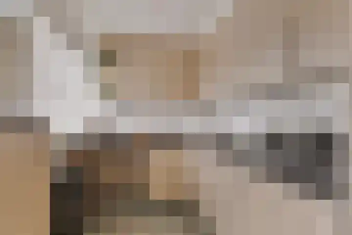 Landonk 14 Raamsdonksveer thumbnail 17