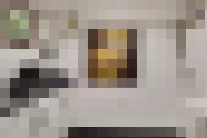 Landonk 14 Raamsdonksveer thumbnail 19