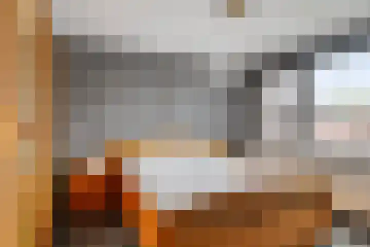 Landonk 14 Raamsdonksveer thumbnail 24
