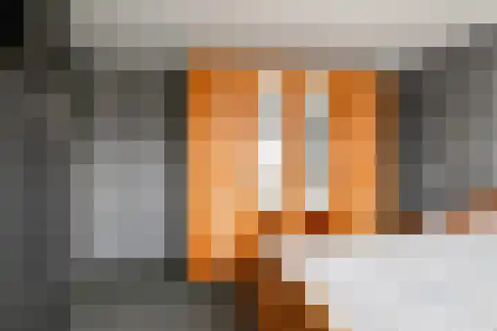 Landonk 14 Raamsdonksveer thumbnail 26