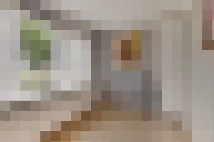 Landonk 14 Raamsdonksveer thumbnail 29