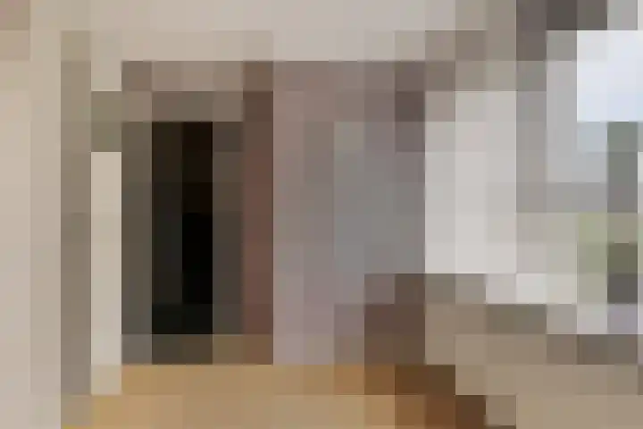 Landonk 14 Raamsdonksveer thumbnail 30