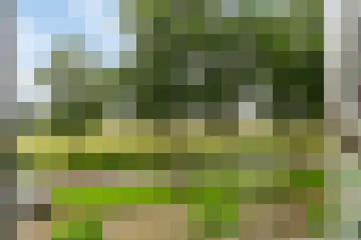 Landonk 14 Raamsdonksveer thumbnail 31