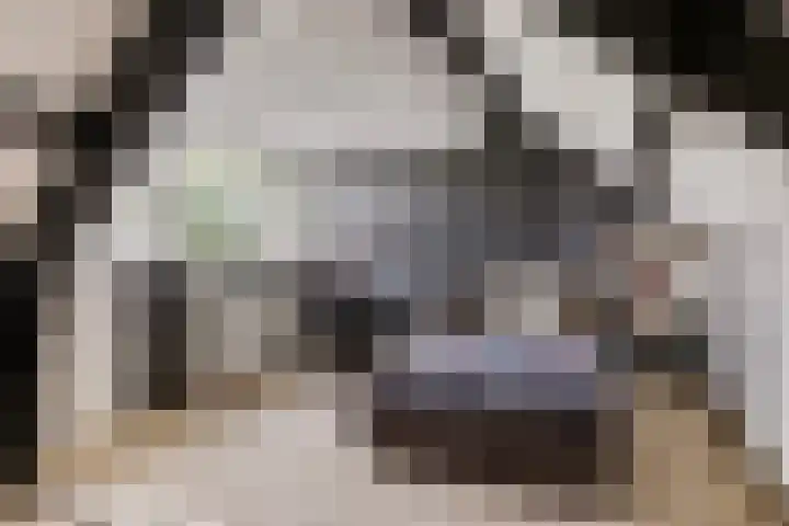 Landonk 14 Raamsdonksveer thumbnail 33