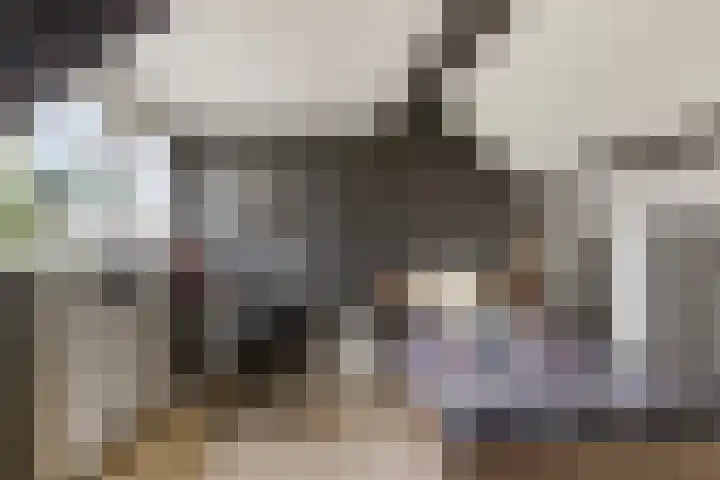 Landonk 14 Raamsdonksveer thumbnail 34