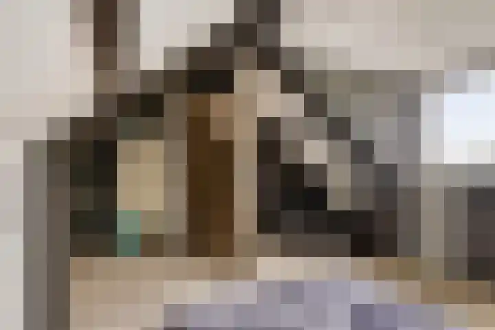 Landonk 14 Raamsdonksveer thumbnail 35