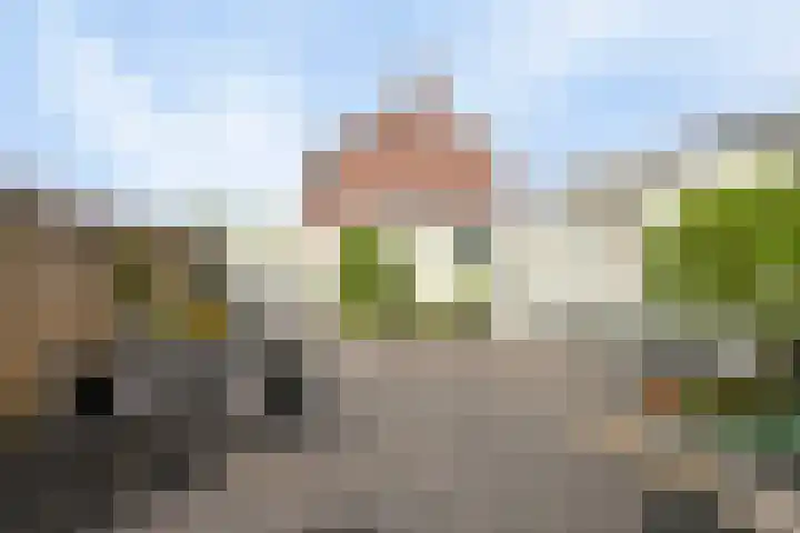 Landonk 14 Raamsdonksveer thumbnail 36