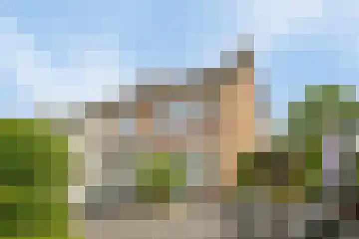 Landonk 14 Raamsdonksveer thumbnail 37