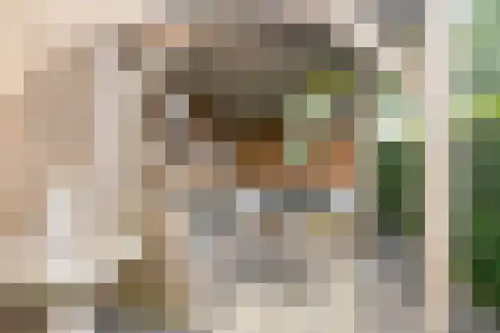 Landonk 14 Raamsdonksveer thumbnail 38