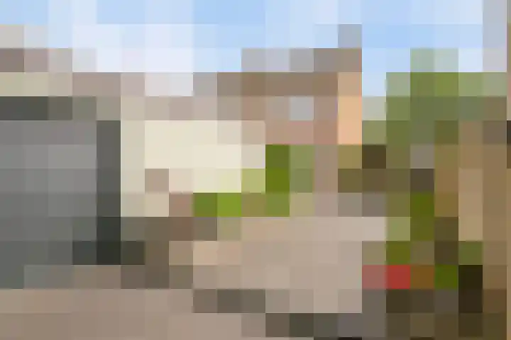Landonk 14 Raamsdonksveer thumbnail 39