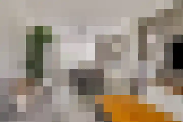 Landonk 14 Raamsdonksveer thumbnail 4