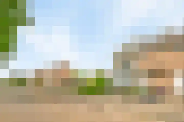 Landonk 14 Raamsdonksveer thumbnail 40