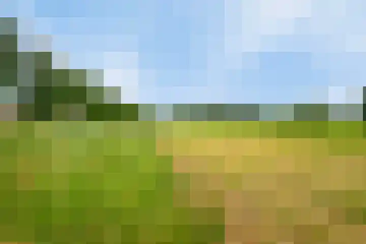 Landonk 14 Raamsdonksveer thumbnail 42
