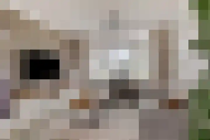 Landonk 14 Raamsdonksveer thumbnail 5