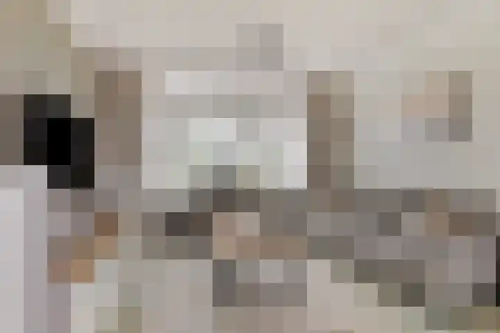 Landonk 14 Raamsdonksveer thumbnail 6