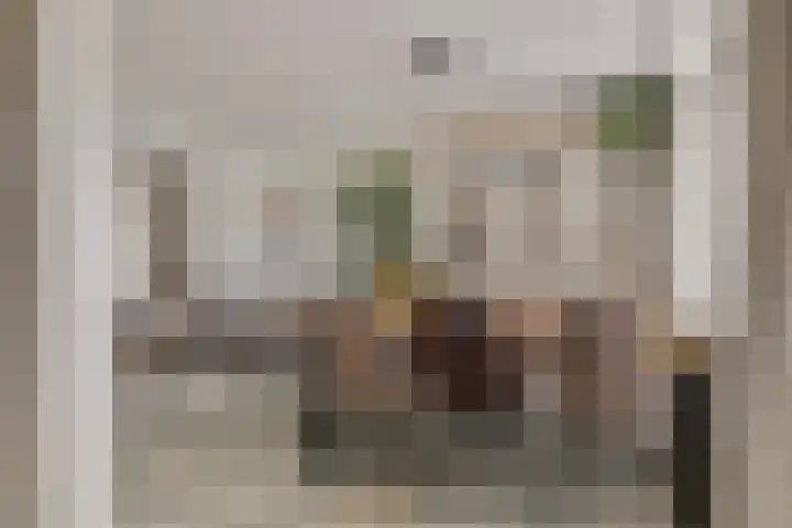 Landonk 14 Raamsdonksveer thumbnail 7