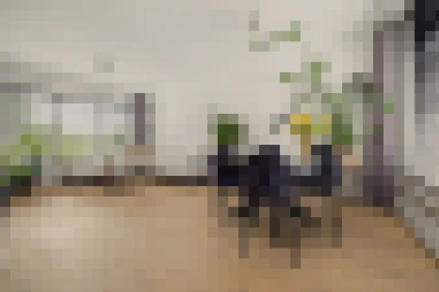 Landonk 48 Raamsdonksveer thumbnail 11