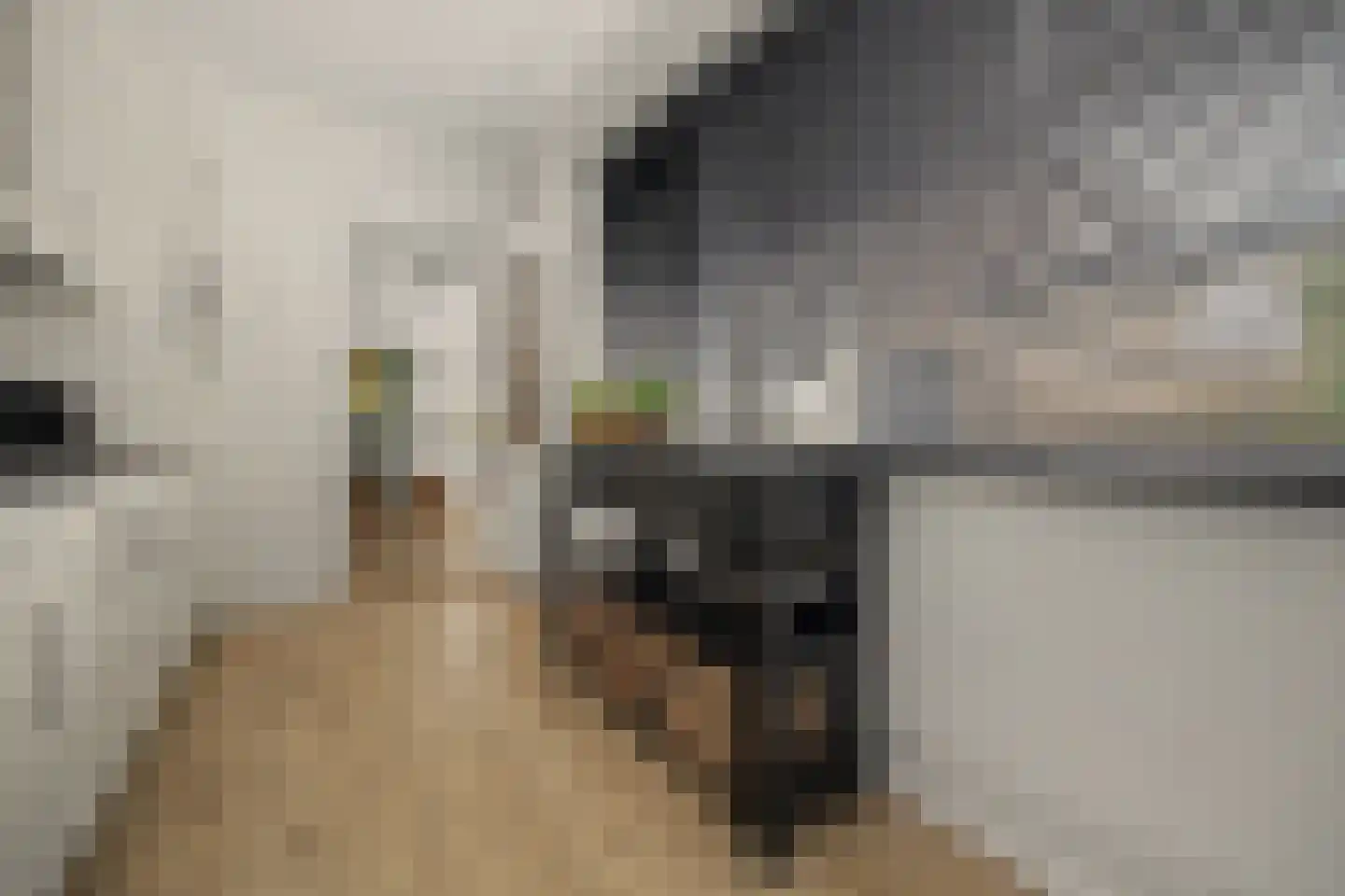 Landonk 48 Raamsdonksveer thumbnail 18