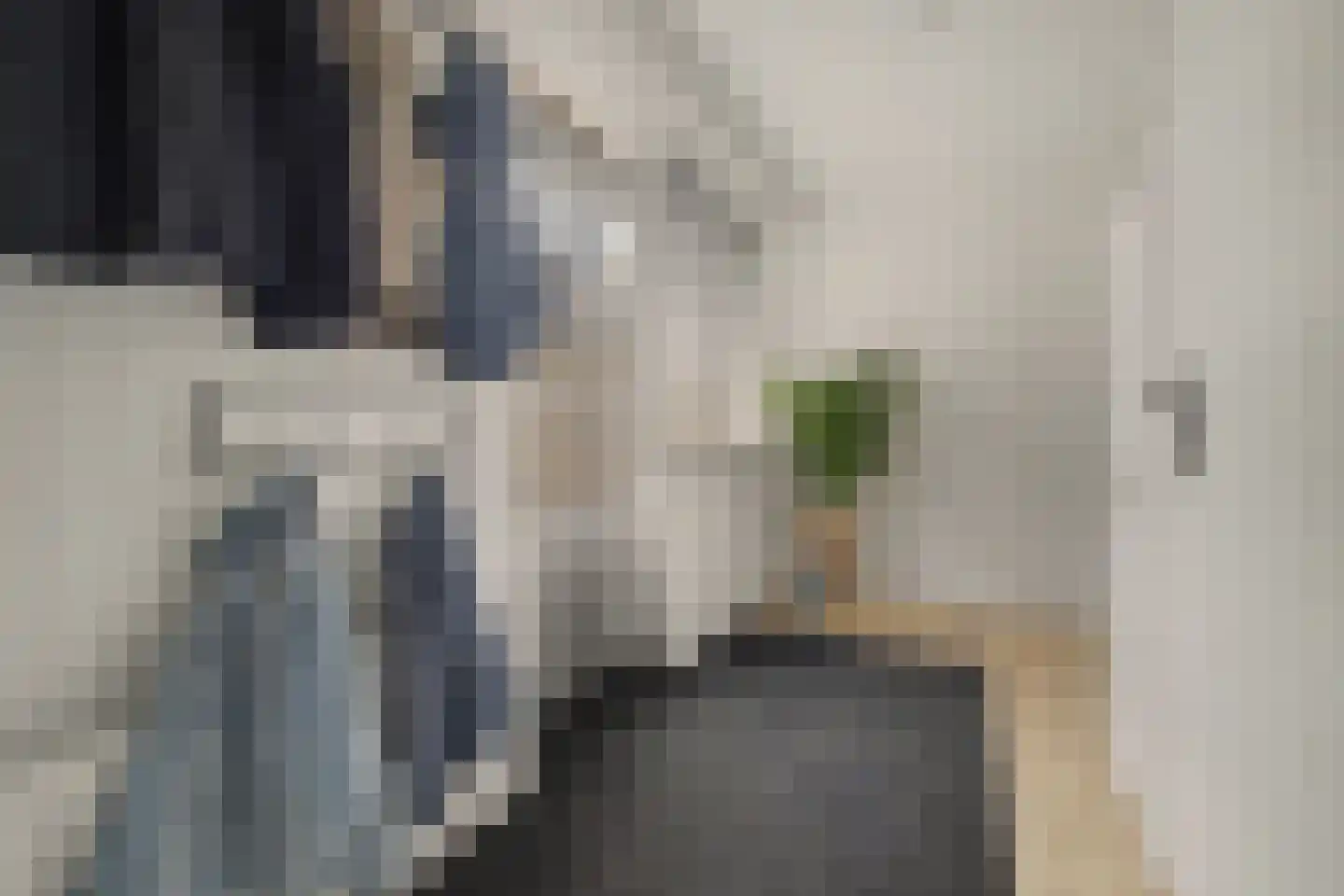 Landonk 48 Raamsdonksveer thumbnail 20